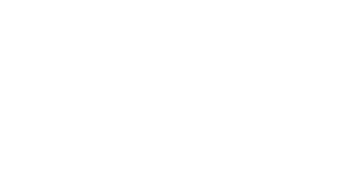 Réseau Services - Spécialiste informatique